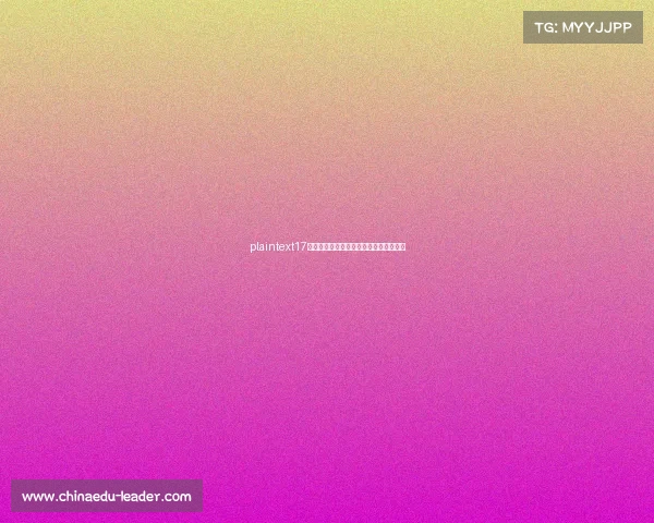 plaintext17电竞直通车：一站式官方入口与动态指南